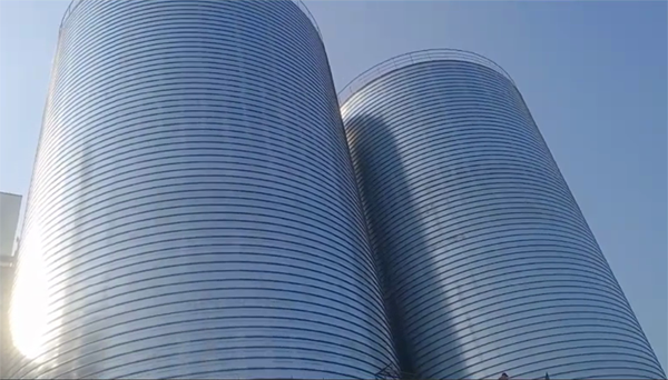 天涯镇2座混凝土高架卷板仓